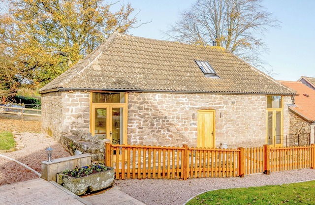 Pipistrelle - UK30758