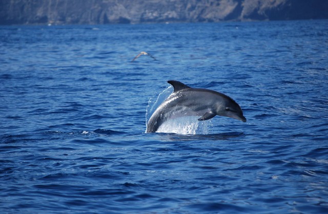 Playa San Juan, a large apartment with 3 bedrooms, for families, group