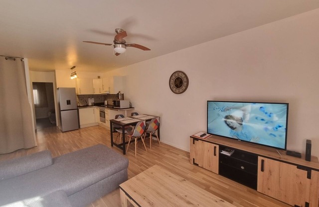 Pleasant Apartment T2 45M2 in the heart of the 1st spa town Dax