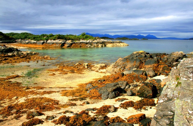 Plockton; near Skye, Sea-side Super Place, 3bed, home office, WiFi, Fab Garden!