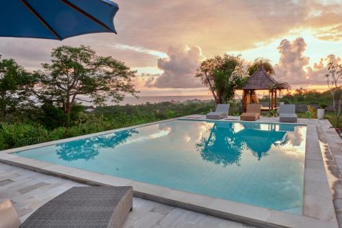Plumeria NP