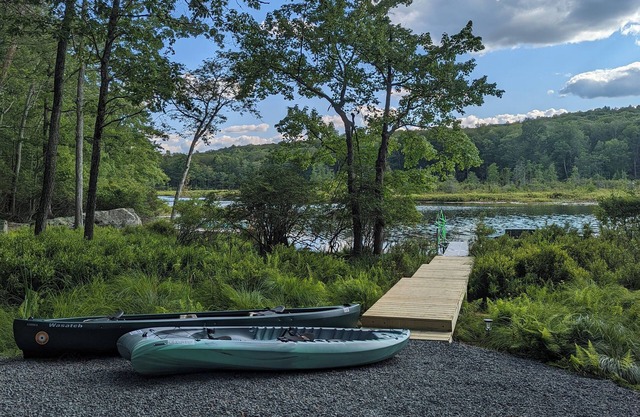 Pocono Lackawaxen Masthope Lakefront Game Room Community Pool Ski Big Bear Kayak