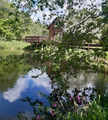 Pod dobrym adresem- domek nad stawem