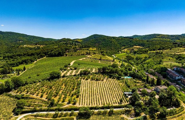 Podere Campriano Winery Adult only
