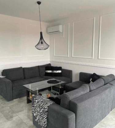 Poli House Premium