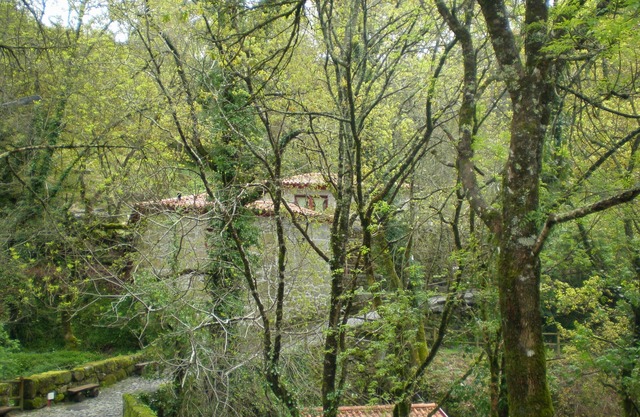 Pontido Fafe village