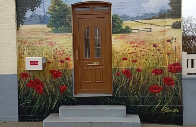 Poppies in the Baie de Somme