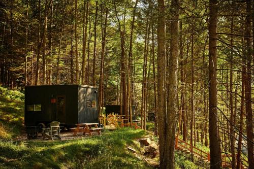 Postcard Cabins Western Catskills, Outdoor Collection by Marriott Bonvoy