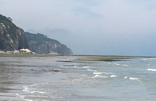 Pourville sur mer 5 mn walk from the beach very nice house sea view 8 pers