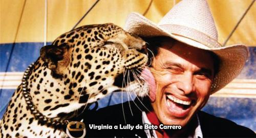 Pousada Morada dos ANJOS