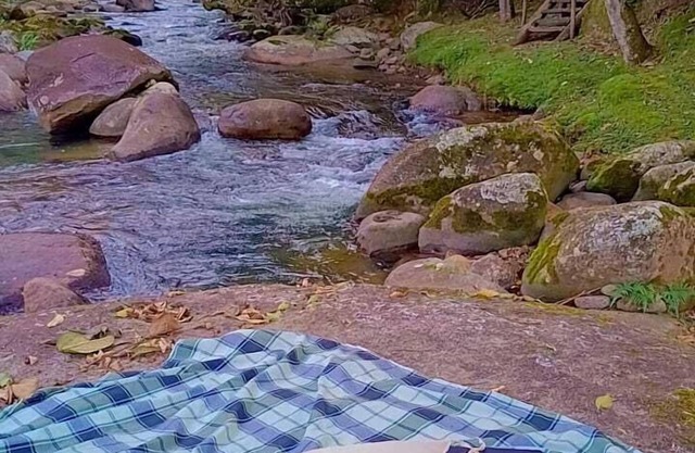 POUSADA PALMEIRA AZUL