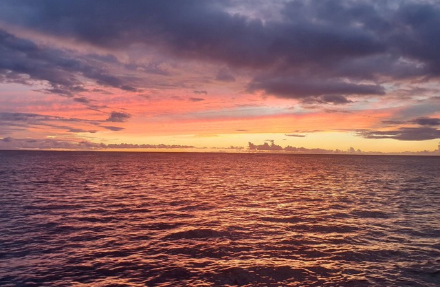 Premier Oceanfront Condo Escape in West End Negril