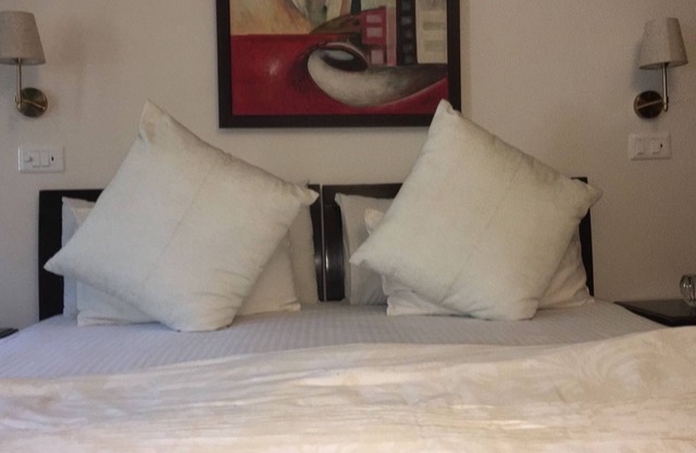 Premium 3-bedroom apartment with Air purifiers, AC, WiFi in Green Park Delhi