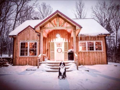 Pristine and Cozy Cabin Rental Overlooking Pond near Rochester, New York