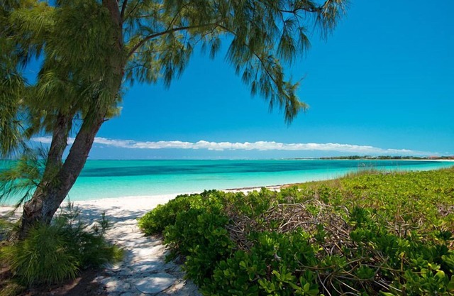 Private Beachfront Luxury Villa on Grace Bay