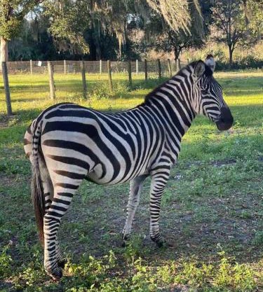 Private Farm with Beach Near St Johns River