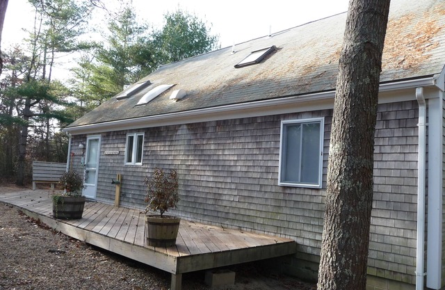 Private forested oasis near town and beach, large deck - 54