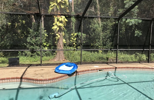 Private Heated Pool In Quiet Neighborhood. Shared space with owner.