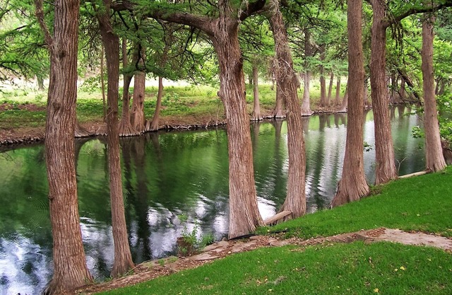Private Home & Frio River Front - 2 Main BR + Optional extra BR - max 19 guests