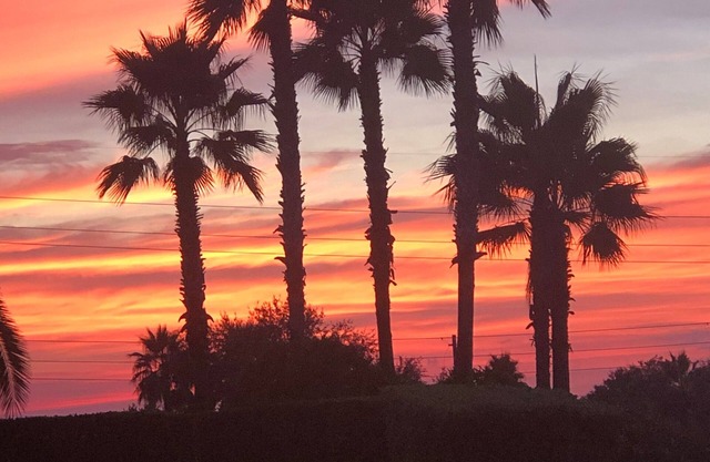 Private Home minutes from Disney/Universal/Seaworld