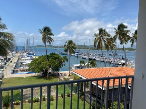 Prívate Island in the Caribbean