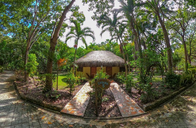 Private Mayan Garden Estate in the heart of the Jungle