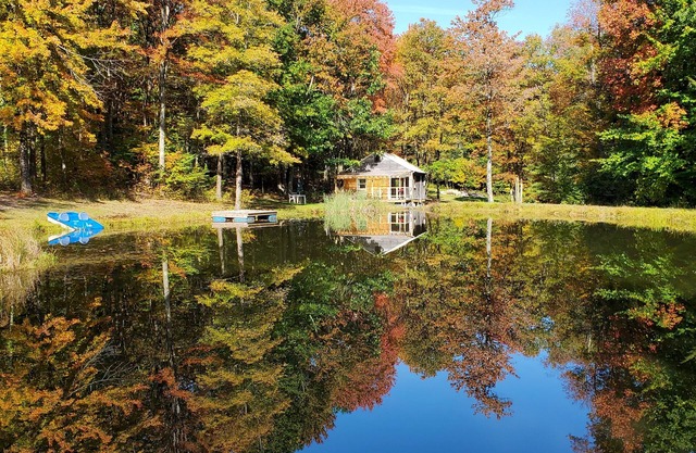 Private off-grid rustic cabin, pet friendly, fishing