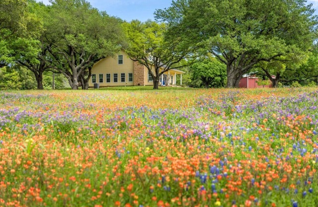Private Retreat on 50 Acres of Countryside Bliss!