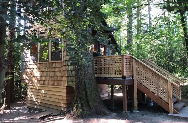 Private tiny forest cabin near Portland and local wineries.