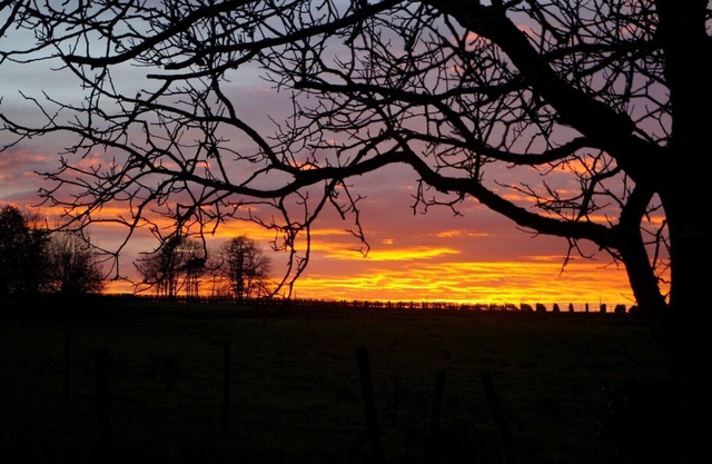 Prunerie, charming tranquil quiet hideaway