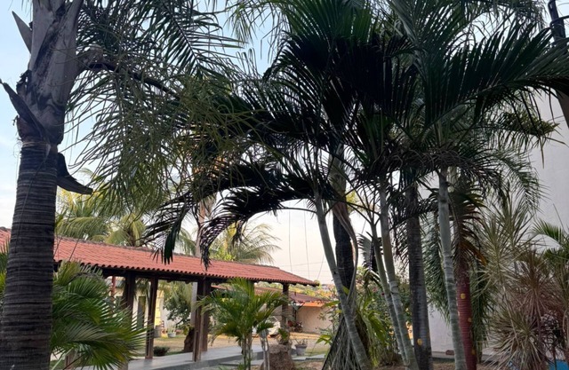 Pumma Hotel Ourilândia