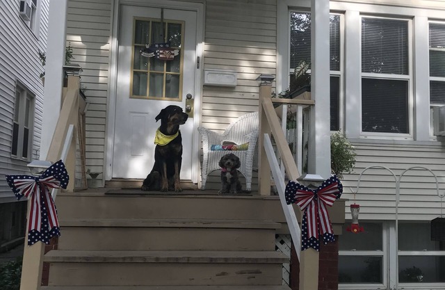 Pup Friendly Apartment with Fenced Backyard