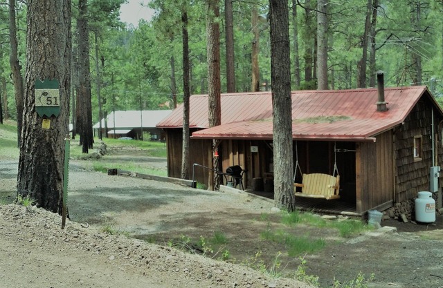 QUAINT COZY CABIN near East Fork, weekly and monthly rates, king bed, fireplace
