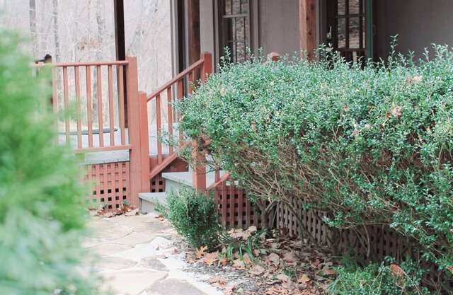 Quaint Secluded 3BR/2BA Cottage w/Fire Pit