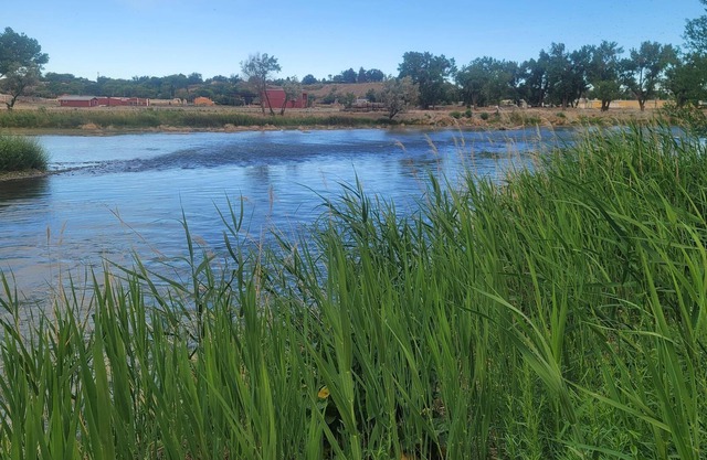Quaint Unit Next to the Gunnison River! Perfect for Fishing & Exploring Outdoors