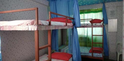 Quickshape/Quickshield Homestay