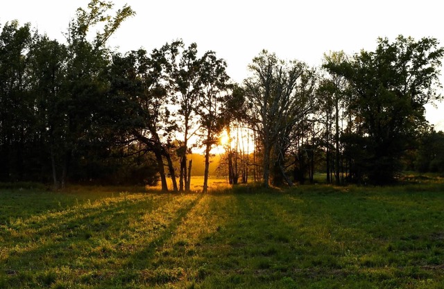 Quiet country home on a homestead farm