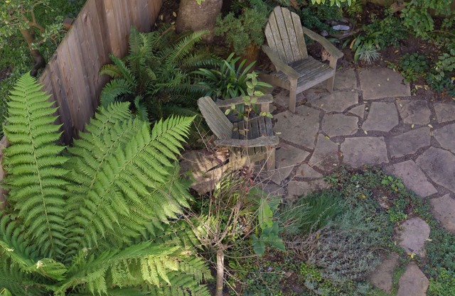 Quiet Garden Studio Near Golden Gate Park