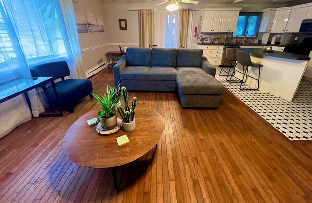 Quiet Pet-Friendly Apt With Large Private Balcony w/high speed internet