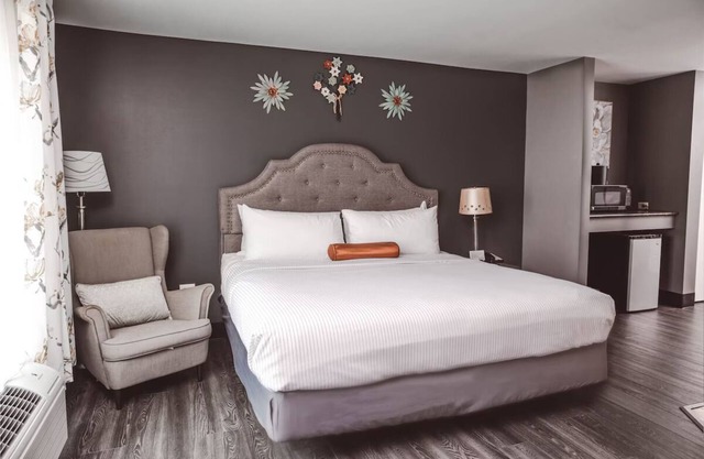 Quiet, Relaxing Stay l Library Lounge, Games, Dog-friendly & Outdoor Spaces