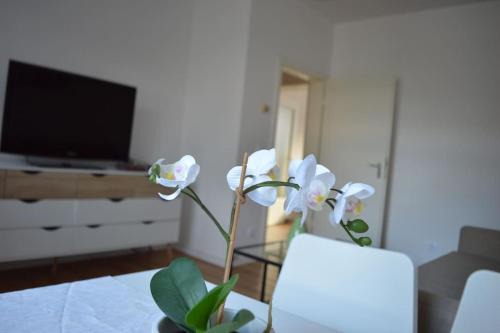 Rüttenscheid, Messe, Uni, Central Station