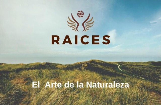 Raíces Ongamira