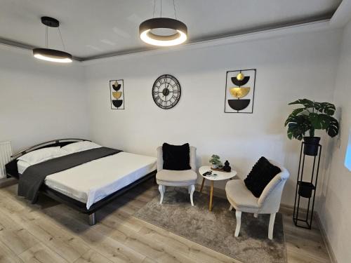Radu's Room