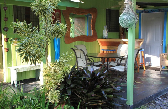 Rain Forest Apartment!