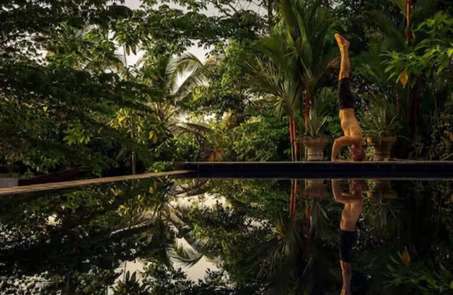 Rainforest Villa with Private Infinity Pool – A Sanctuary for the Soul