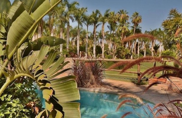 Rancho Danza Del Sol - the whole ranch - a 25-acre mango farm