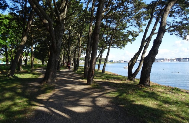 Recent apartment in the immediate vicinity of the sea