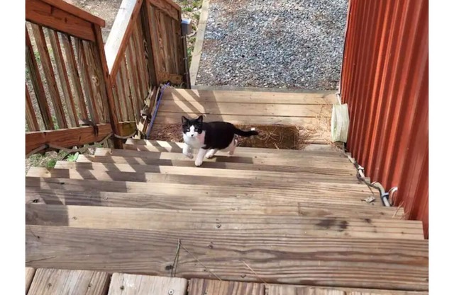 Red Dog Farm South Oak - 2 bedroom barn apartment.