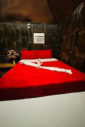 Red Palm Inn - Kubo room with wifi