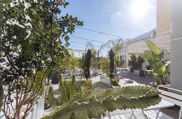 Red, Red Wine in Lisbon by Misha's Place (3B)